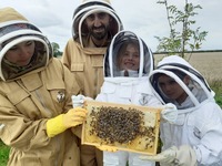 Honeybee experience day